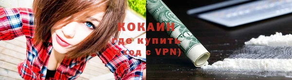 а пвп мука Абаза