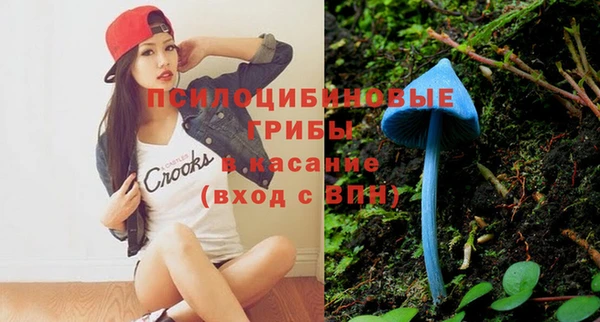 винт Абинск