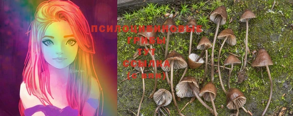 винт Абинск