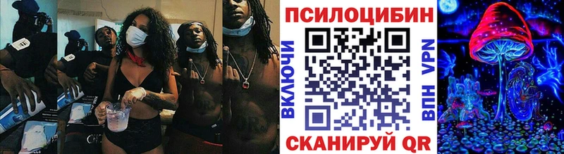 Галлюциногенные грибы Psilocybe  закладки  Нальчик 