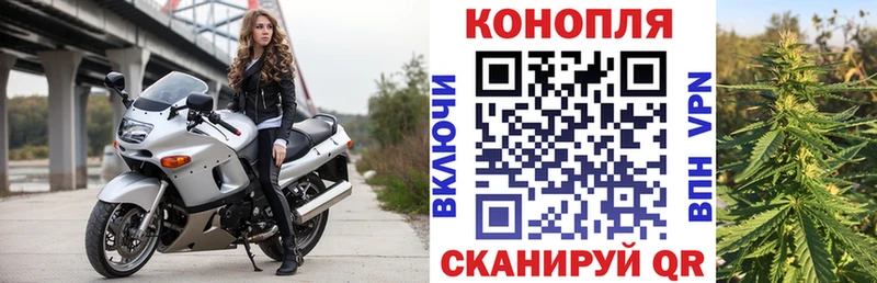 где продают   Нальчик  Канабис сатива 